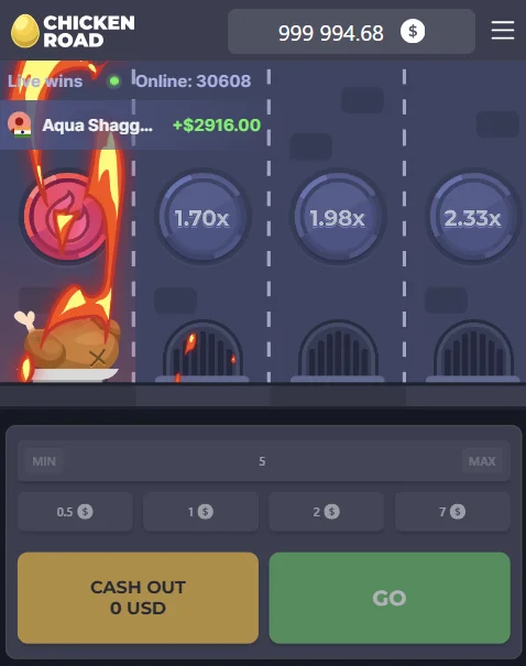 Chicken Road Demo Modus